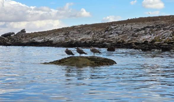 We're all going on a summer holiday